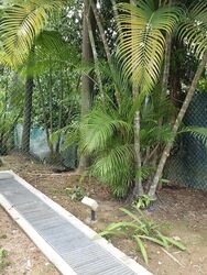 SIAN TUAN AVENUE (D21), Detached #521357261
